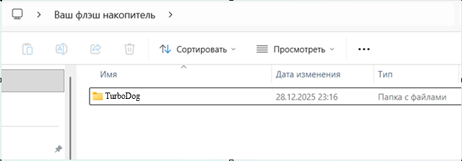 На флешке только папка TurboDog